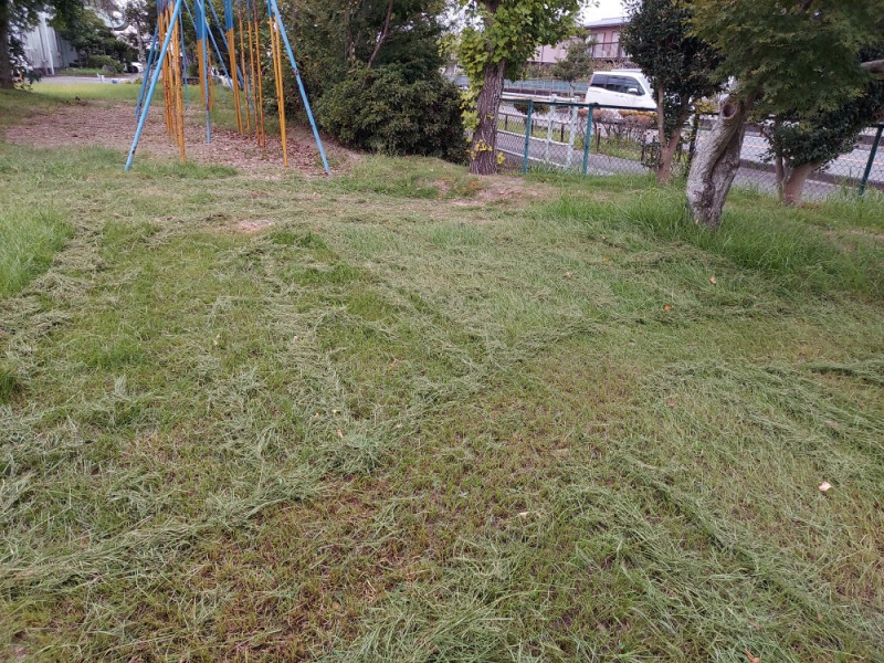 20251003_072340
